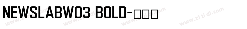 NewslabW03 Bold字体转换